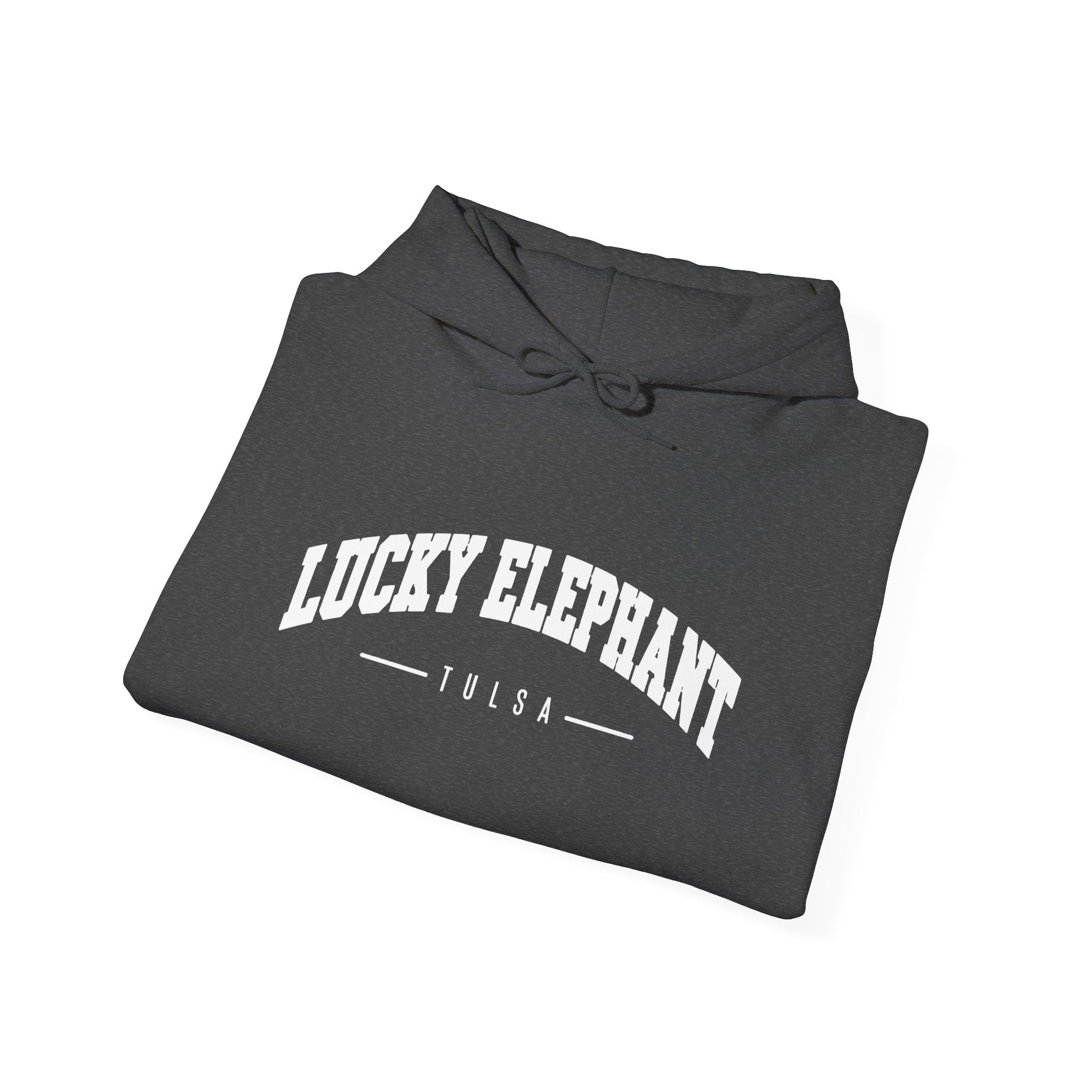 Lucky Elephant Hoodie – Tulsa Vintage Varsity Logo Sweatshirt