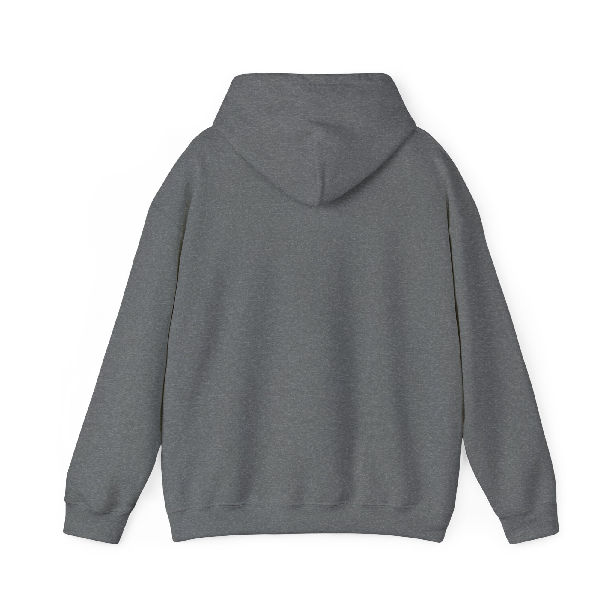 Lucky Elephant Hoodie – Tulsa Vintage Varsity Logo Sweatshirt