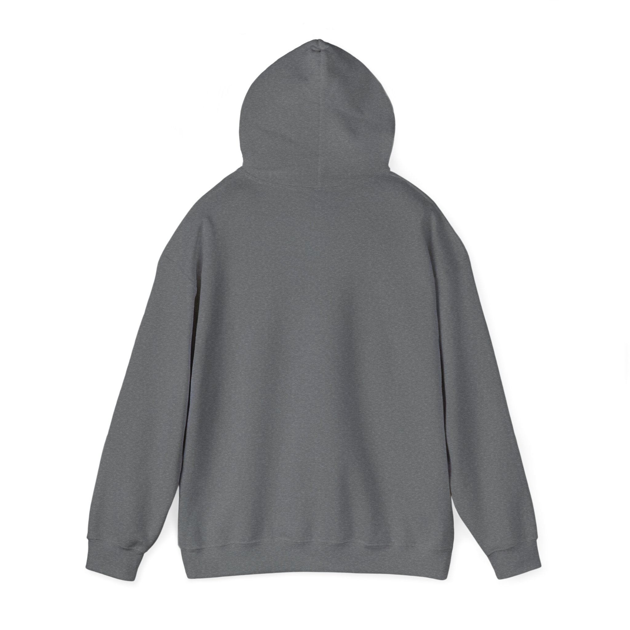Lucky Elephant Hoodie – Tulsa Vintage Varsity Logo Sweatshirt
